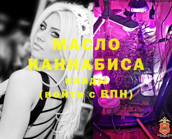 дмт Новокубанск