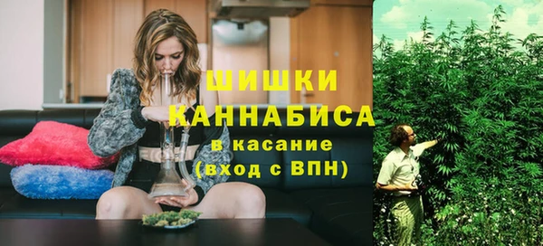 индика Абдулино