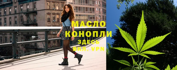индика Абдулино