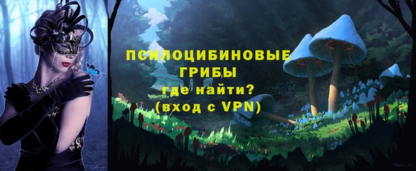 круглые Абаза
